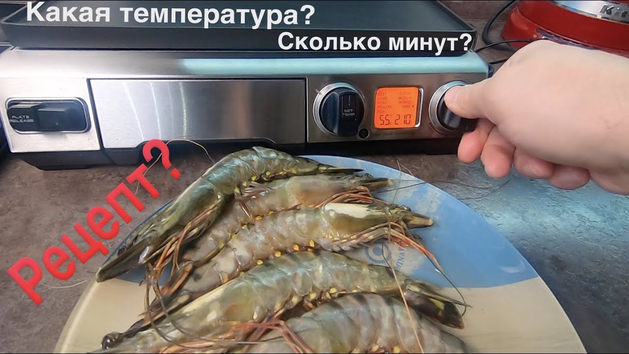 Креветки температура & Сколько минут готовить креветки на электрогриле Bork Креветки на гриле рецепт