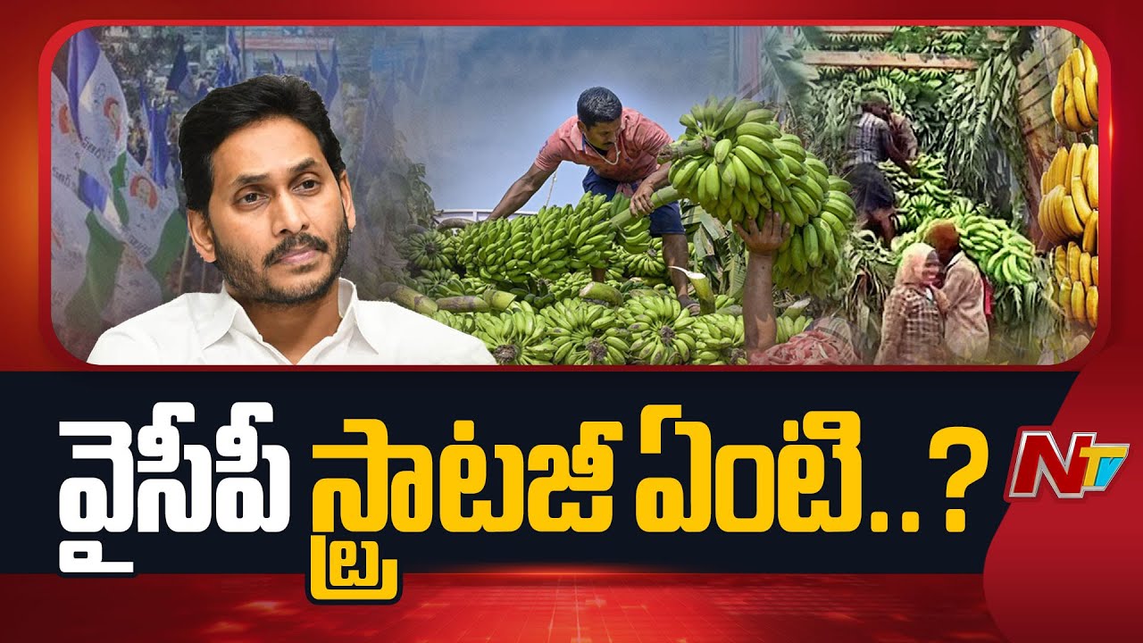 YSRCP Prepare for 2029 battle? | YS Jagan | CM Chandrababu | NTV Telugu