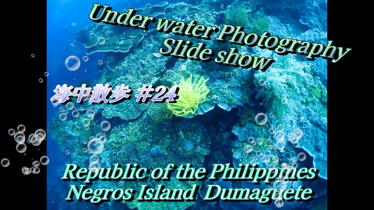 【スライドショー】海中散歩 #24  フィリピン  ネグロス島　ドマゲッティ～Part Ⅱ～