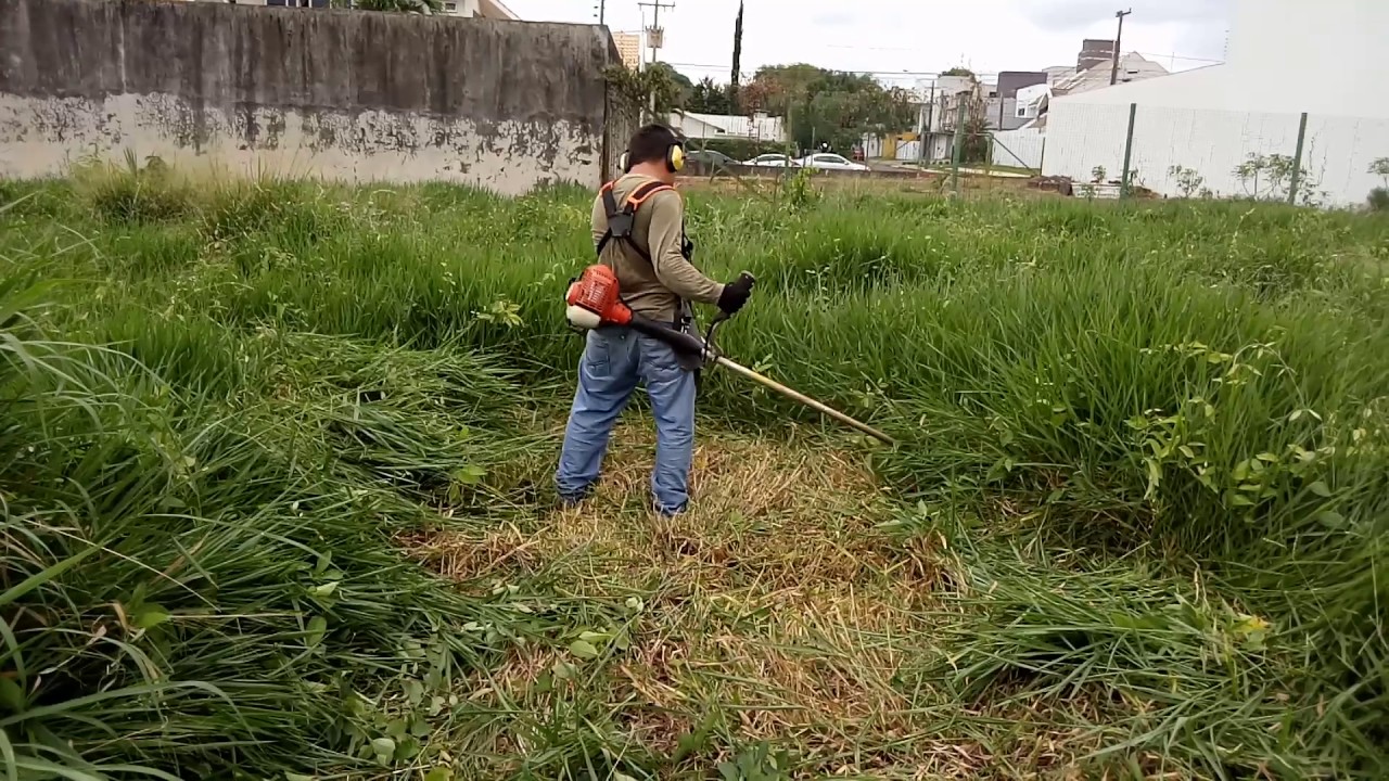 Husqvarna 236r Bela Grama Jardinagem (Beautiful Gardening Grass)
