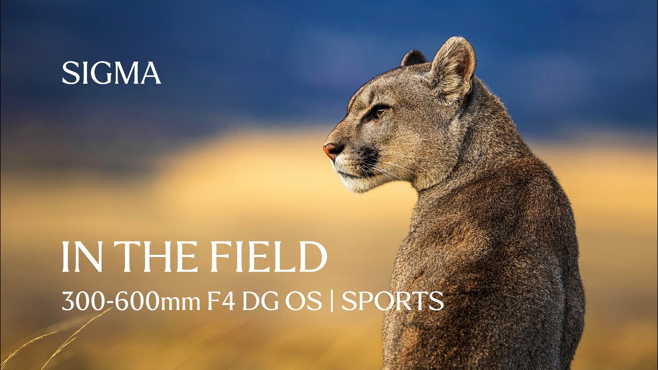 In The Field with the Sigma 300-600mm F4 DG OS | Sports Lens - Three Days in Torres del Paine