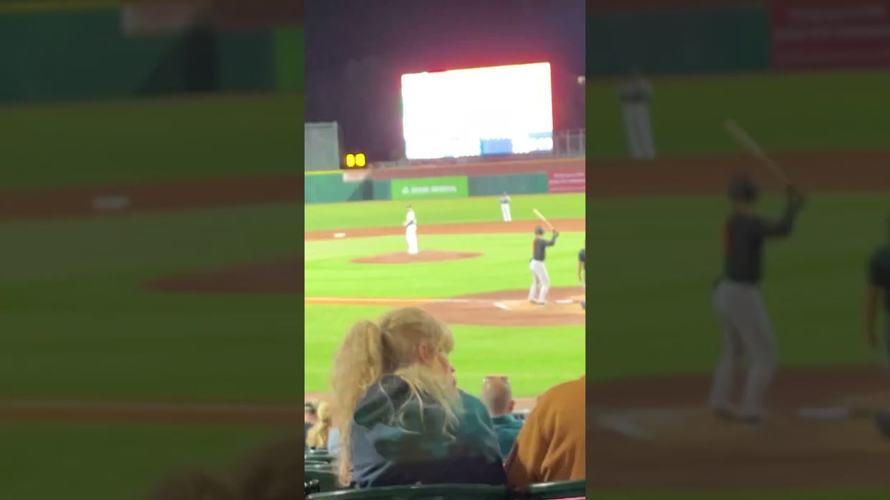 Fisher cats game