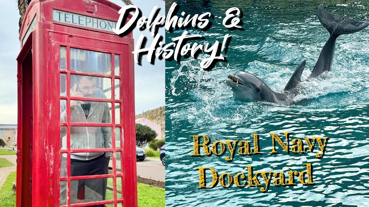 Dolphins & History at the Royal Navy Dockyard - Bermuda