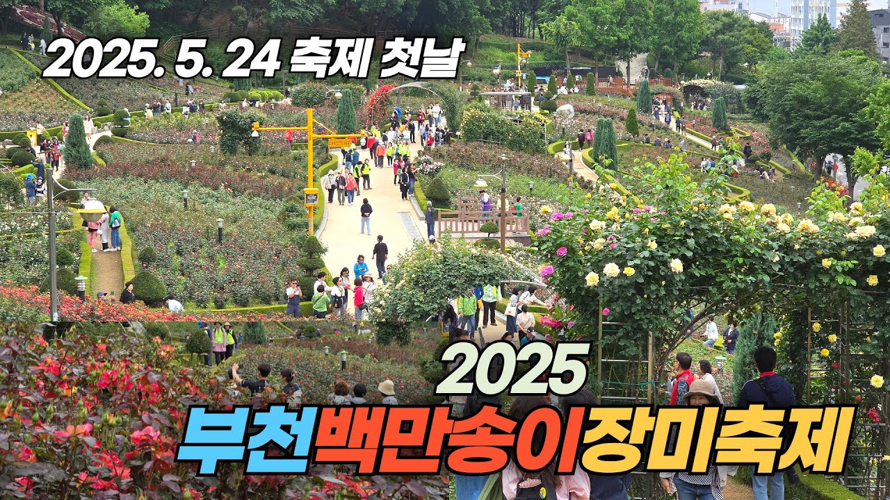 2025 부천 백만송이 장미 축제 Bucheon Million Roses Festival 2025