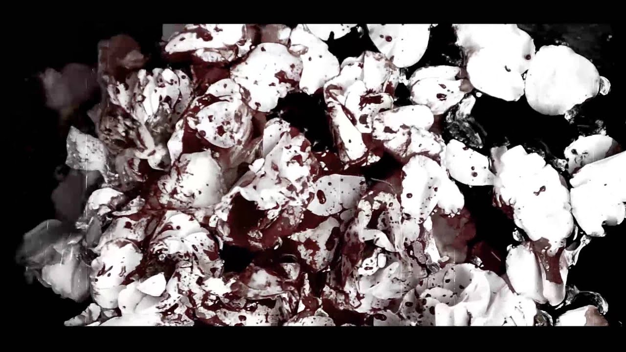 Colemesis - Ocaso 2:35 (Video Oficial)