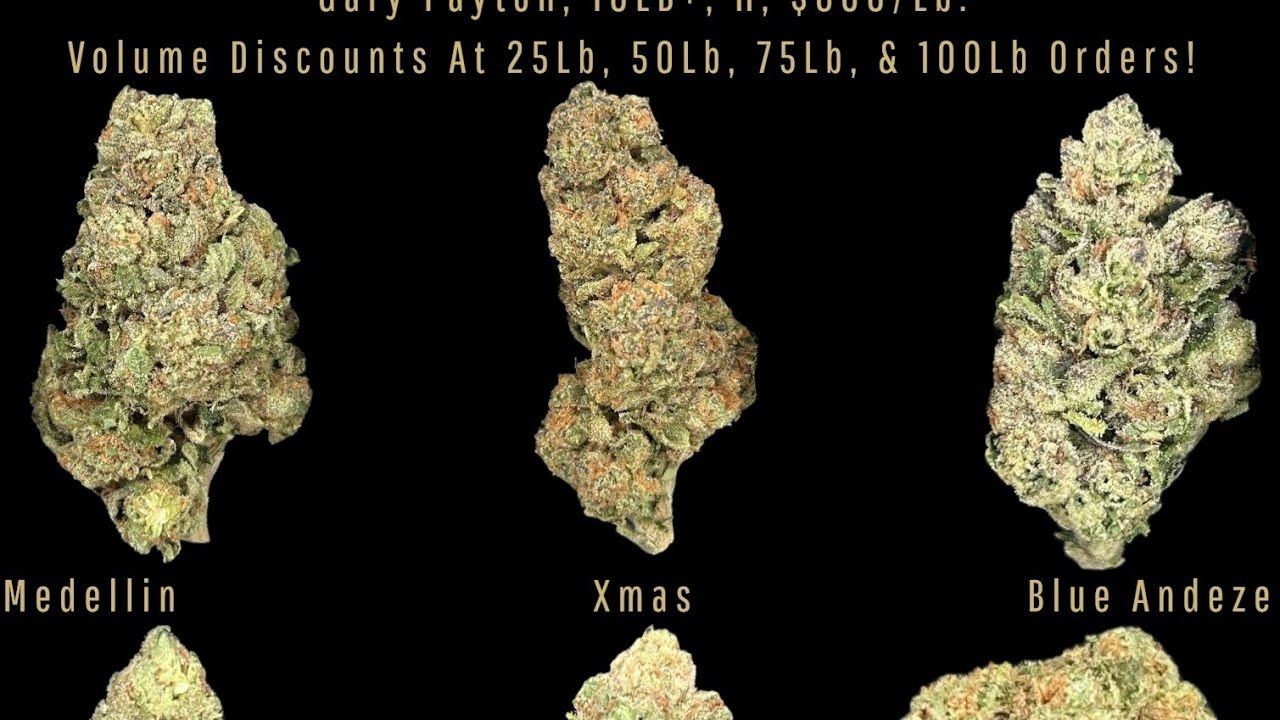 Absolute Cheapest THCA Flower Left | Touchdown Unboxing & Review