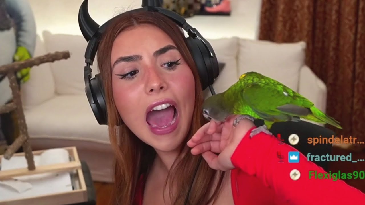 Bird Attacks Andrea