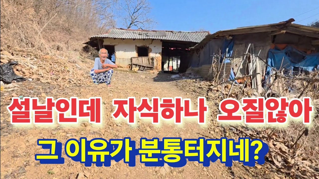 설날인데 자식하나 찾아오지 않는 이유가 분통터지네?