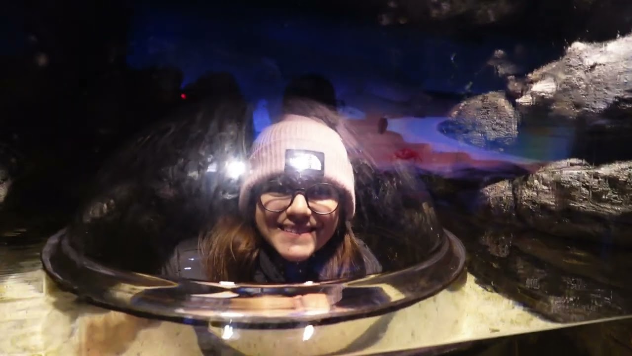 Viagem a Londres 2024 | Parte 4 | Trafalgar Square - Sea Life