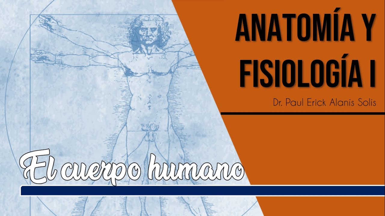 El cuerpo humano - Introducción