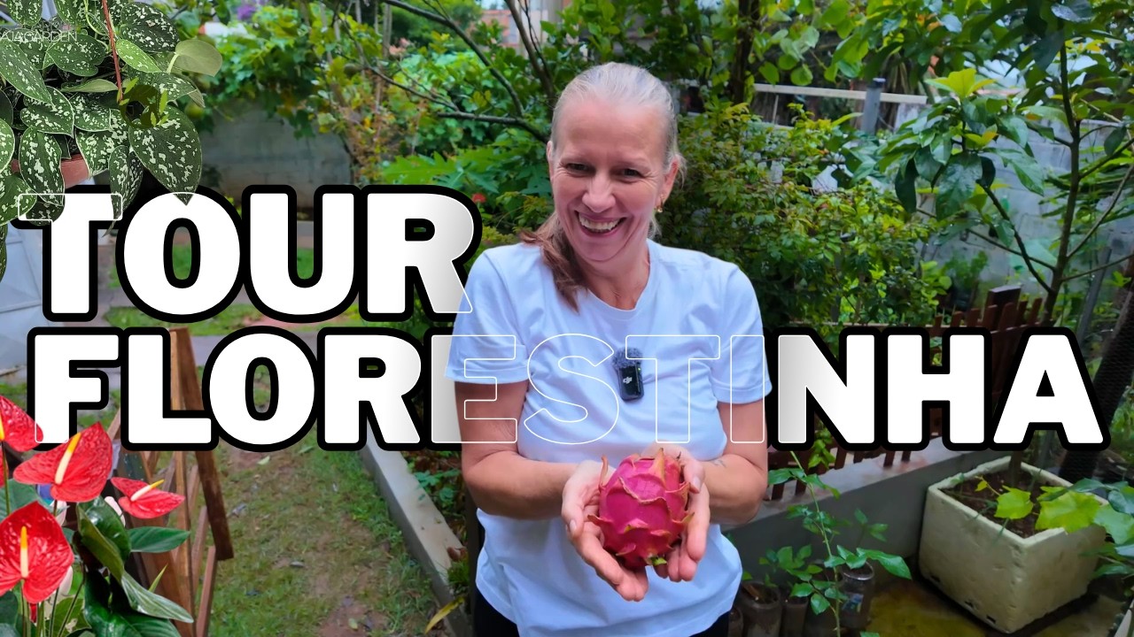 Tour na nossa florestinha na cidade depois de muita chuva | Como estão as plantas