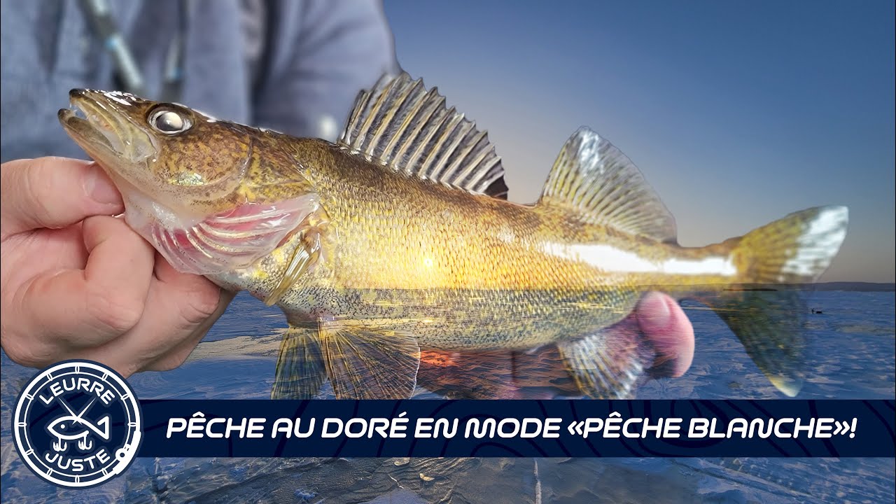 Leurre Juste S08e01 - Pêche au doré en mode «Pêche blanche»!