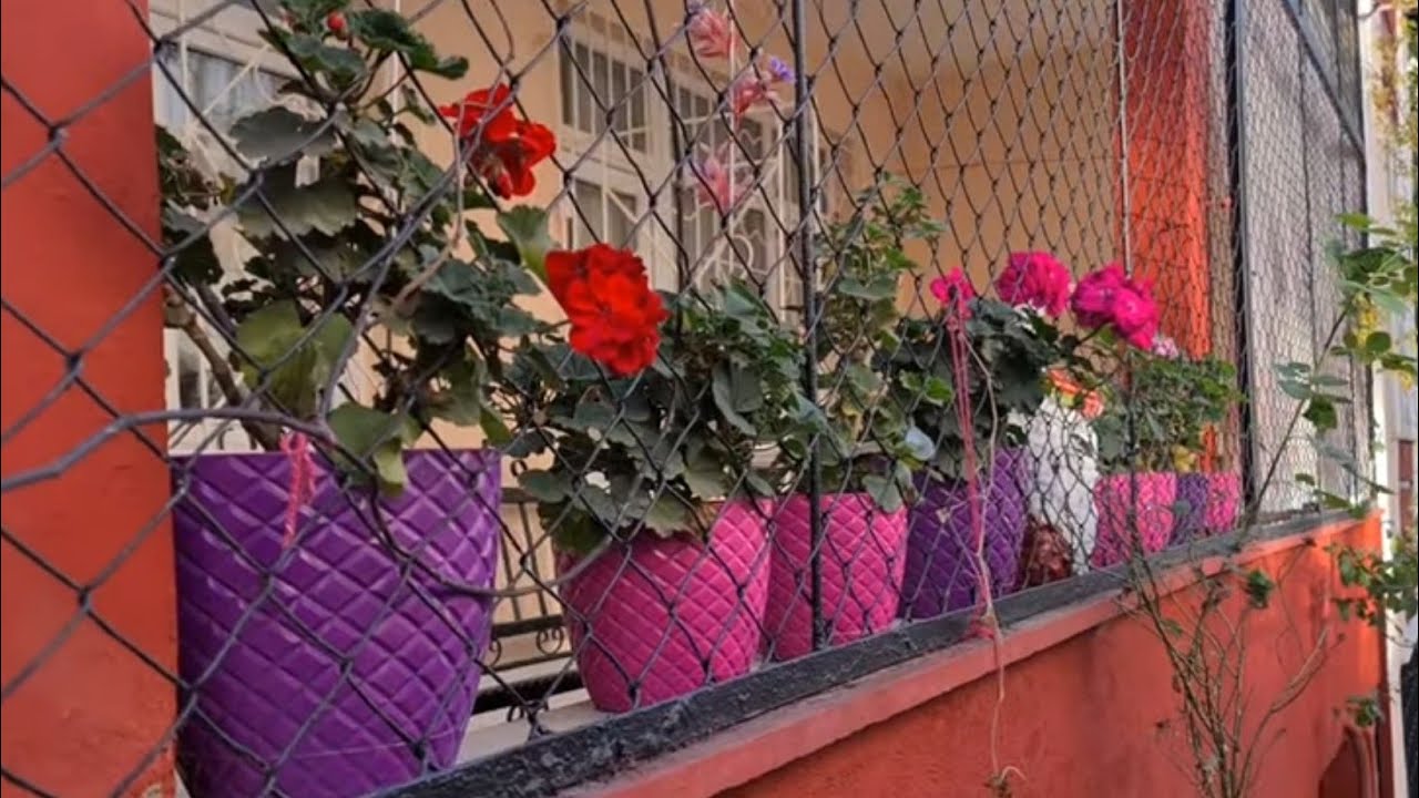 Sokak Sokak Bahçe Çiçek 2 (Gebze)