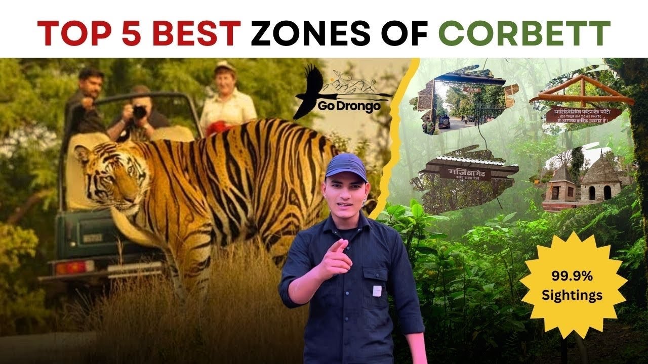 Top 5 Best Safari Zones in Jim Corbett for Tiger Sightings!