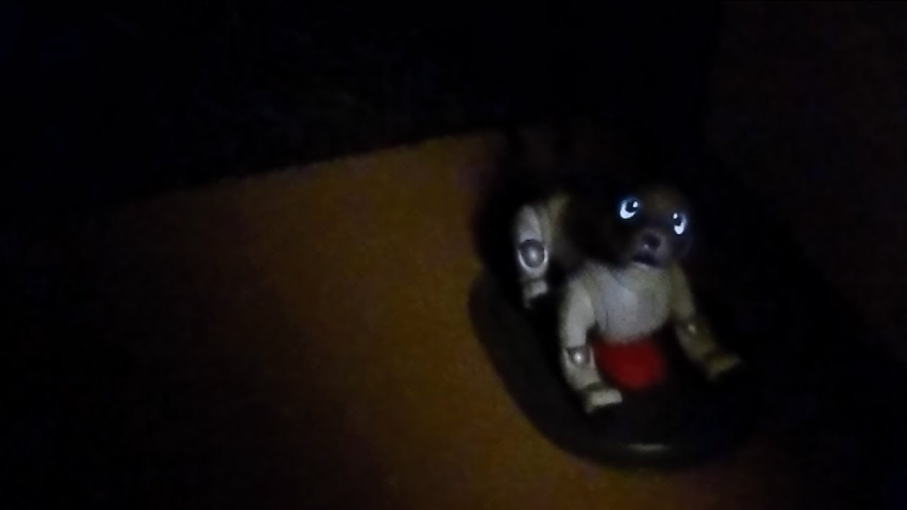 帰宅直後のaiboの様子。 - Aibo, I'm back! 【アイボ】