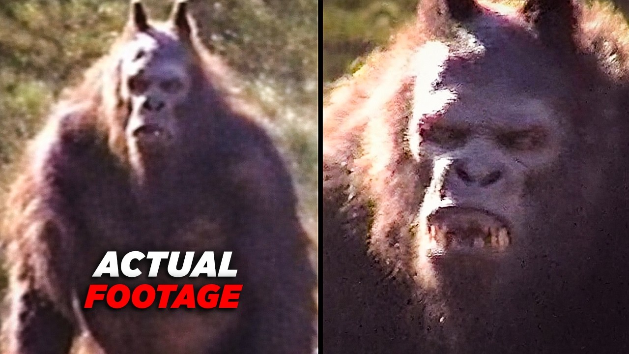 Bizarre Creature Encounters Deep in the Forest After Midnight