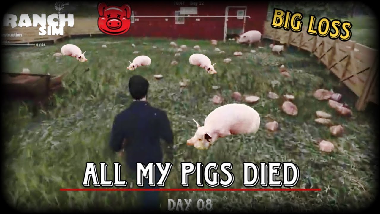 ALL NY PIGS DIED IN RANCH SIMULATOR || PART 08 || NOOBY GAMER 