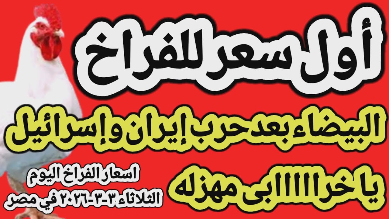 اسعار الفراخ البيضاء اليوم/ سعر الفراخ البيضاء اليوم الثلاثاء 2026/3/3 في مصر  #اسعار_الفراخ_اليوم