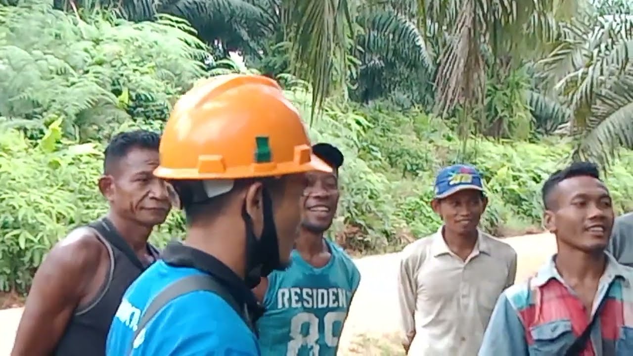 karyawan baru di berikan penjelasan cara2 panen menurut SOP perusahaan