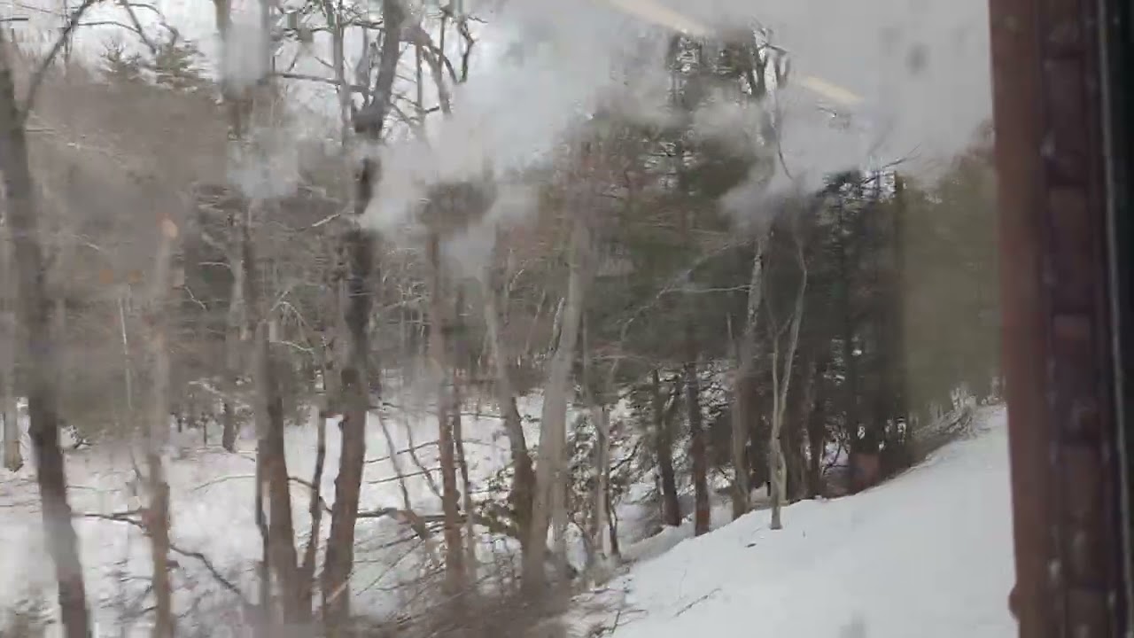 Watch the video and just relax