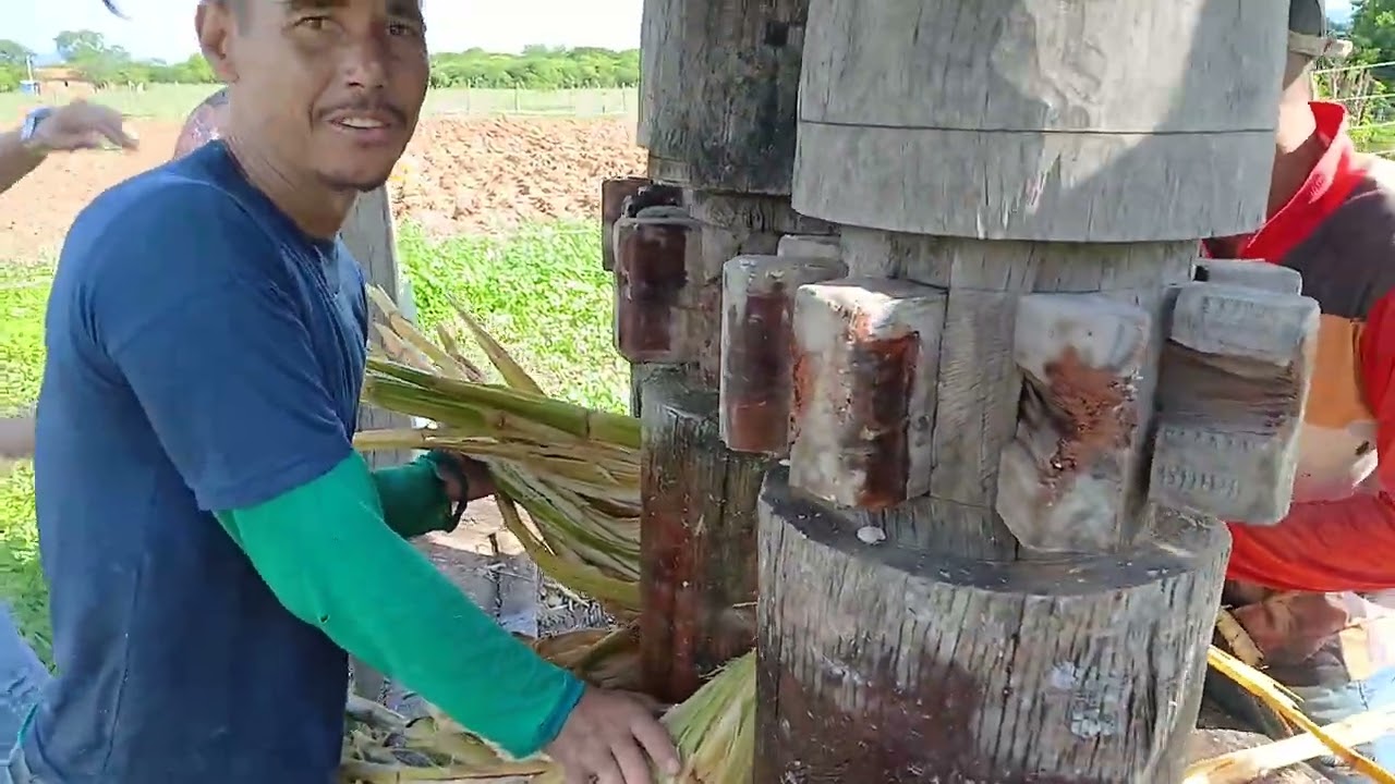 Engenho de João Caitano 