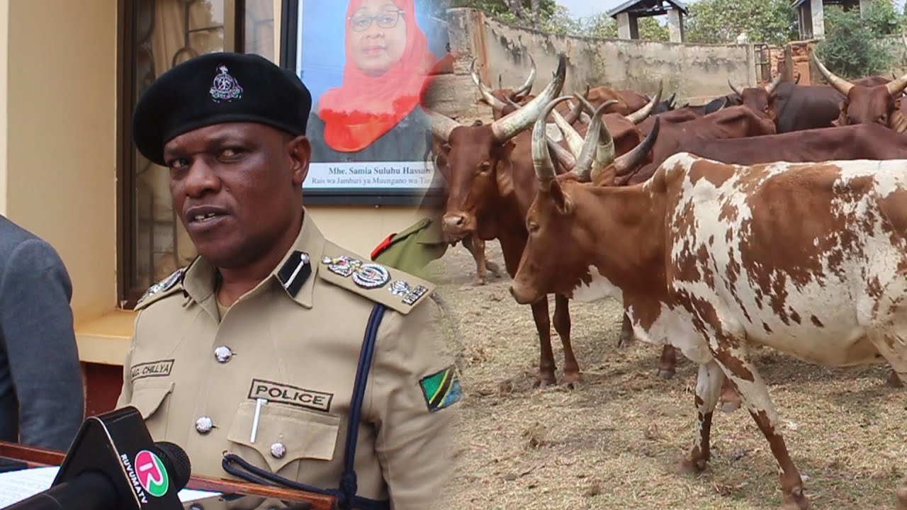 NG'OMBE 159 WA WIZI WAKAMATWA RUVUMA,RPC CHILLYA ATHIBITISHA