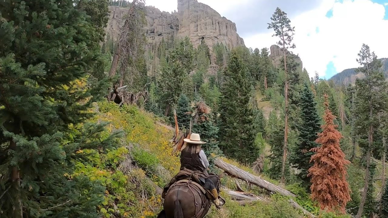 Palisades Horse camp, Pagosa Springs, Colorado