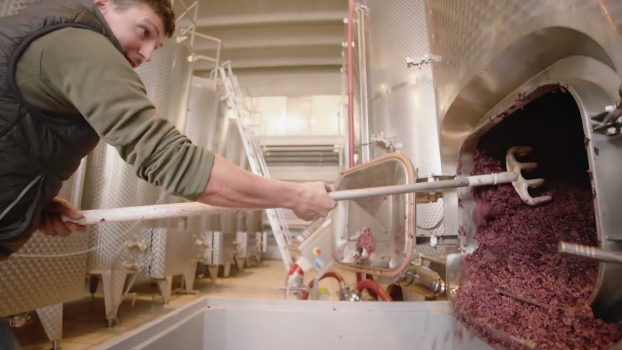 Agricola Marrone - Svinatura a fine fermentazione, vendemmia 2023