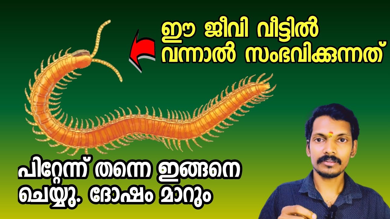 പഴുതാര വീട്ടിൽ വന്നാൽ എന്താണ് ഫലം?