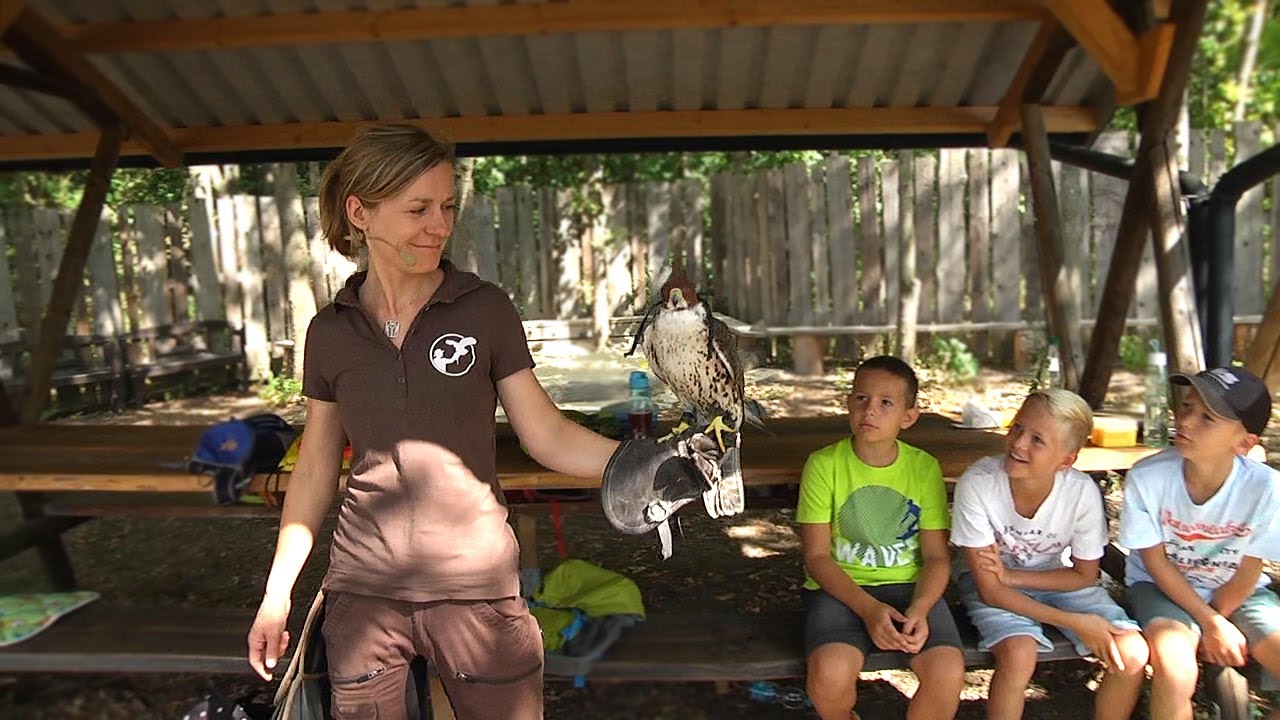 ZWG-Kinder zu Gast bei der Falknerei Herrmann
