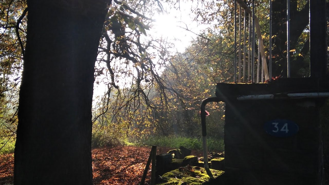 October sun on the peakforest canal let's walk #highpeak #canal #narrowboat #ramblers 