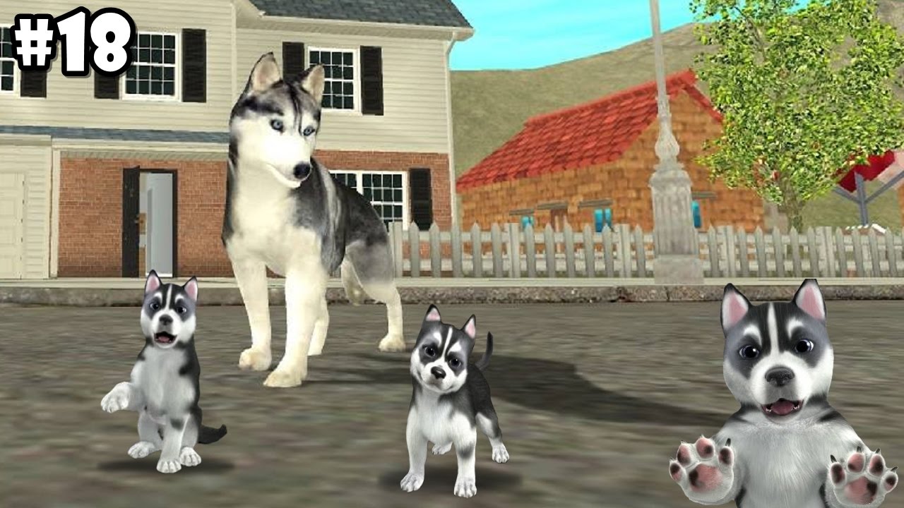 Dog Sim Online - Siberian Husky - Android / iOS - Gameplay part 18