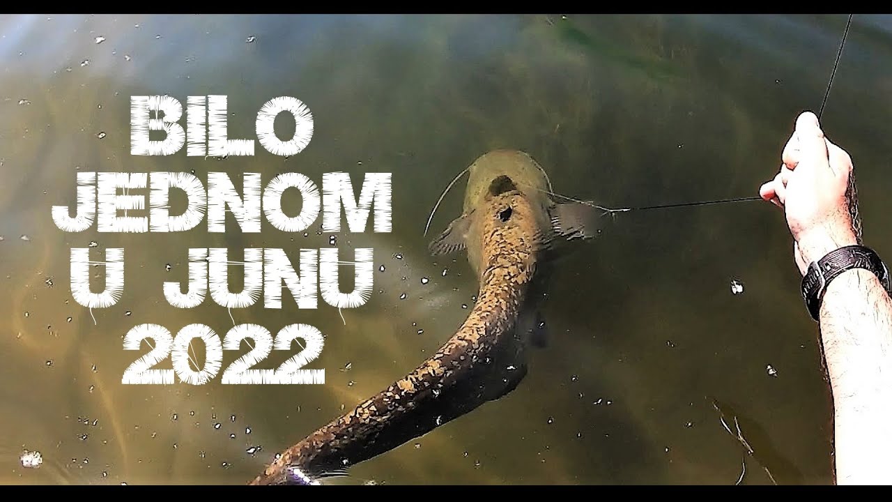 Bilo Jednom U Junu 2022