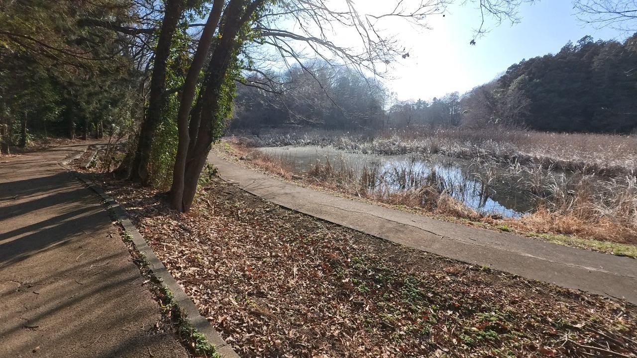 【いばらきヘルスロードを歩こう】コースNo.114　しど谷津公園一周ウォーキング（2026/01/18）