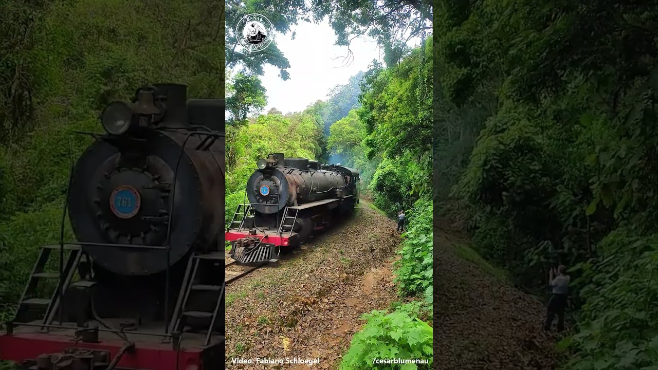 🇧🇷 Trem no túnel / Train in the tunnel - São Bento do Sul/SC -  (Brasil) 