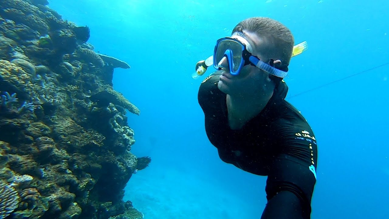 SILVERSONIC PORT DOUGLAS VLOG (HONEST REVIEW) | 07-03-2019