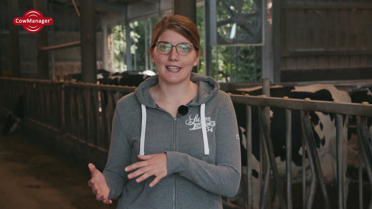 CowManager Expertin zum Thema Frischmelkermanagement: Arbeitsroutine mit dem Gesundheitsmodul