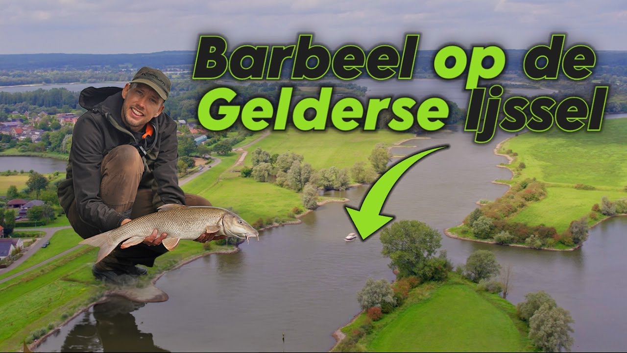 Barbeelvissen aan de Gelderse IJssel - Vanaf een krib!