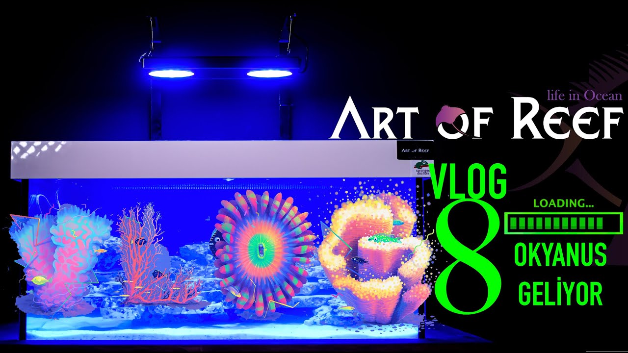 Vlog 8 - Tuzlu Su Tankı Kurulumu - Okyanus Yükleniyor.. - Art Of Reef -
