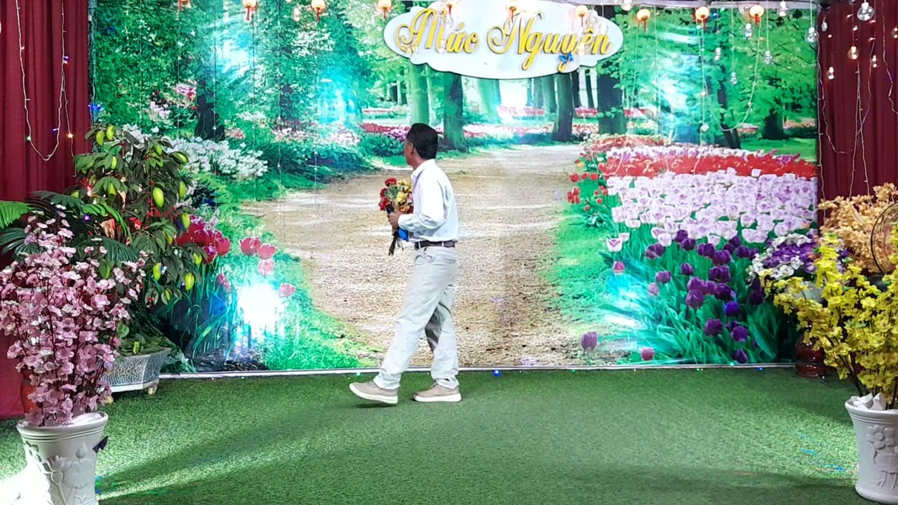 🌴 Hoa Bằng Lăng 🌸 Tấn Nguyễn 🌸16/03/2026