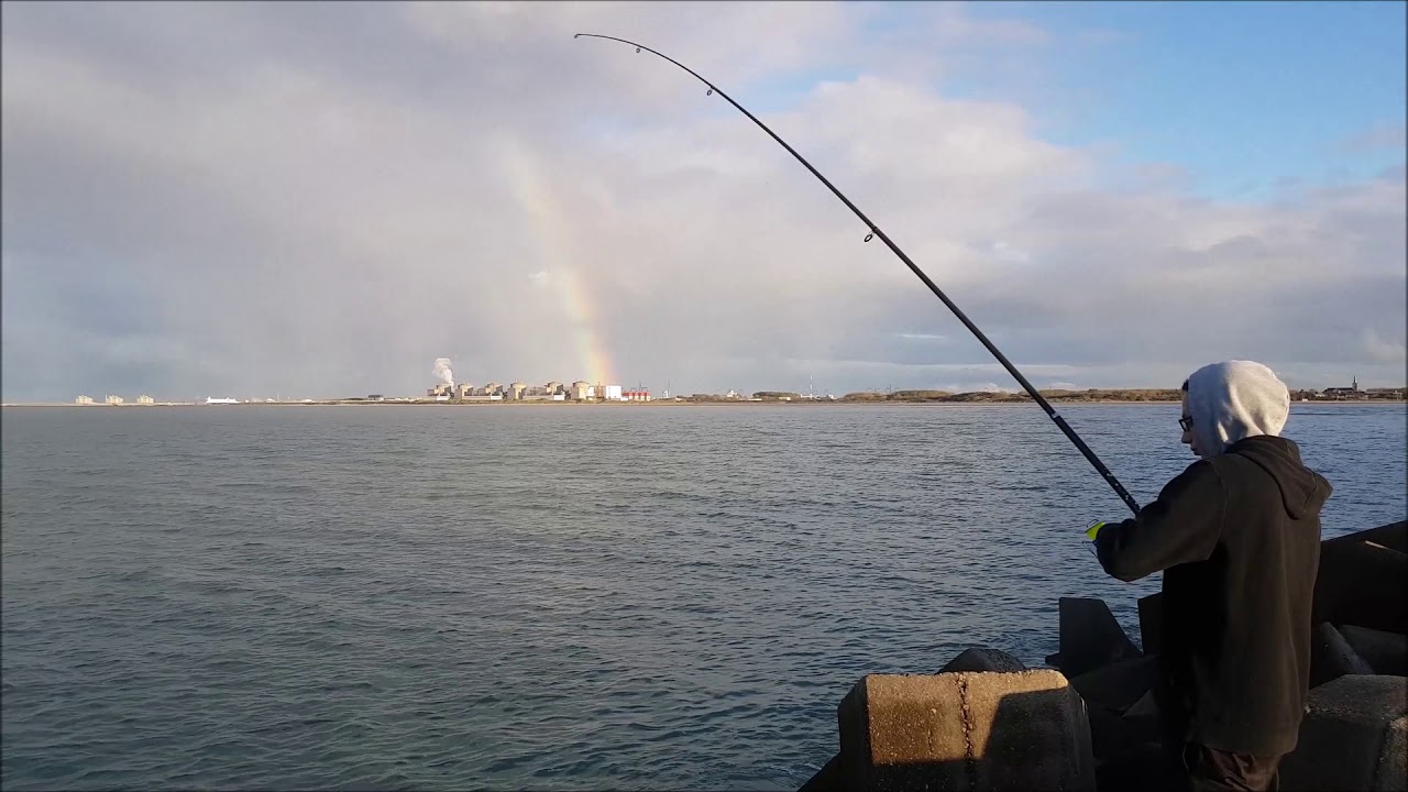 Pêche Bars et Merlans 2019 GRAVELINES