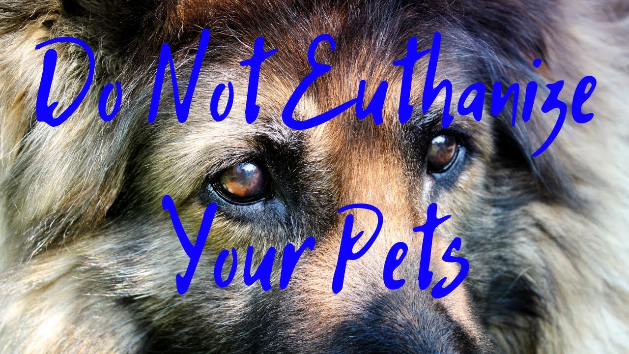 Do Not Euthanize Your Pets!
