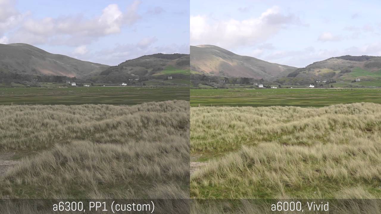 Sony a6300 vs a6000 - Full HD and video capabilities compared