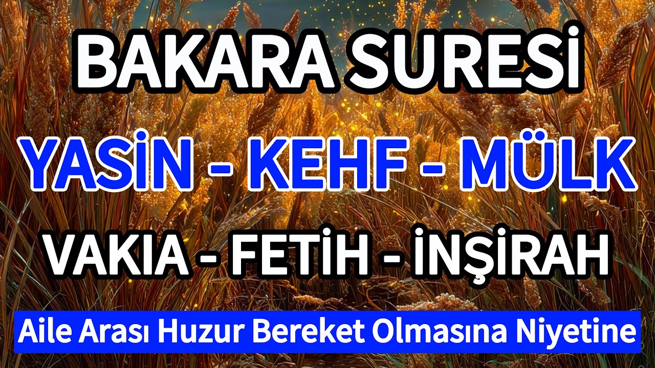 Bakara Suresi - Yasin Suresi - Kehf Suresi - Mülk - Vakıa Suresi - Fetih Suresi ve İnşirah Suresi🤲🏻