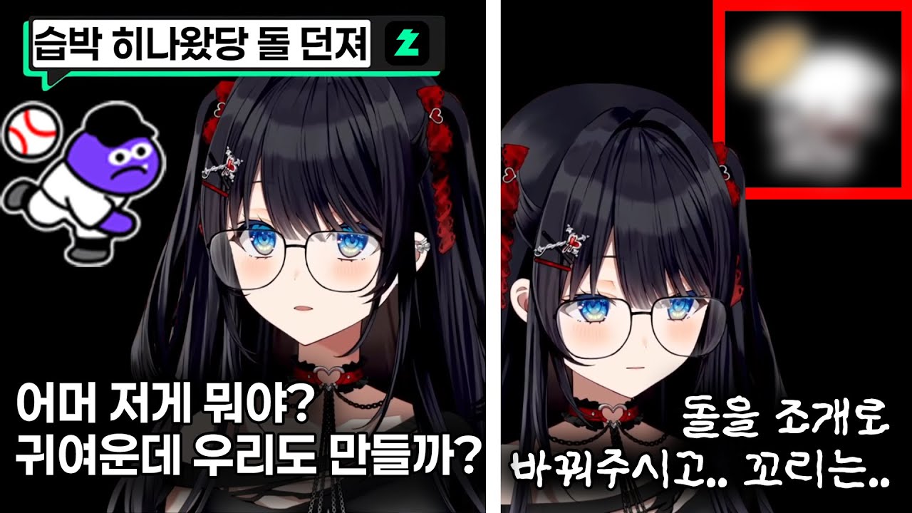 습박 히나 왔당! 조개 던져!ㅋㅋ