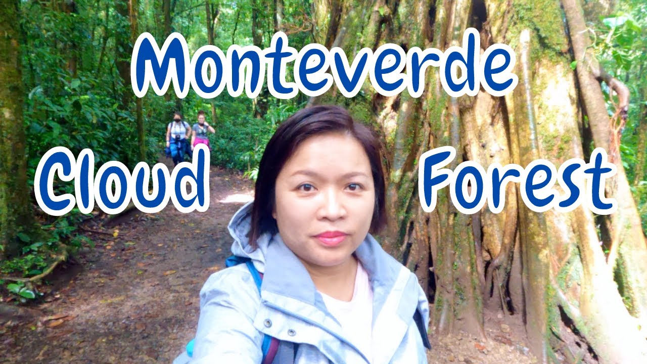 Monteverde Cloud Forest Reserve | Guided Tour | Hike with Me | Costa Rica | Ep. 151