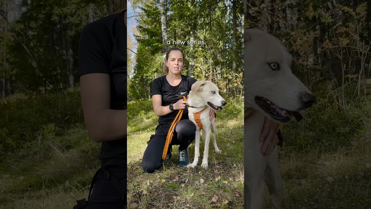 Join our CANICROSS SERIES with Tessa! 🐕🏃💨
