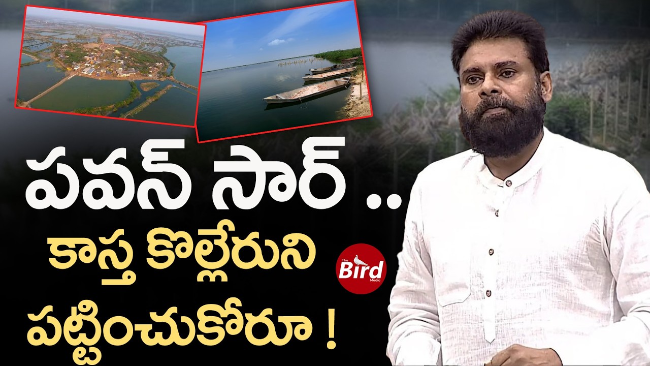 పవన్ సార్… కాస్త కొల్లేరుని పట్టించుకోరూ! Kolleru Lake Crisis | Pawan Kalyan Respond | Bird Media