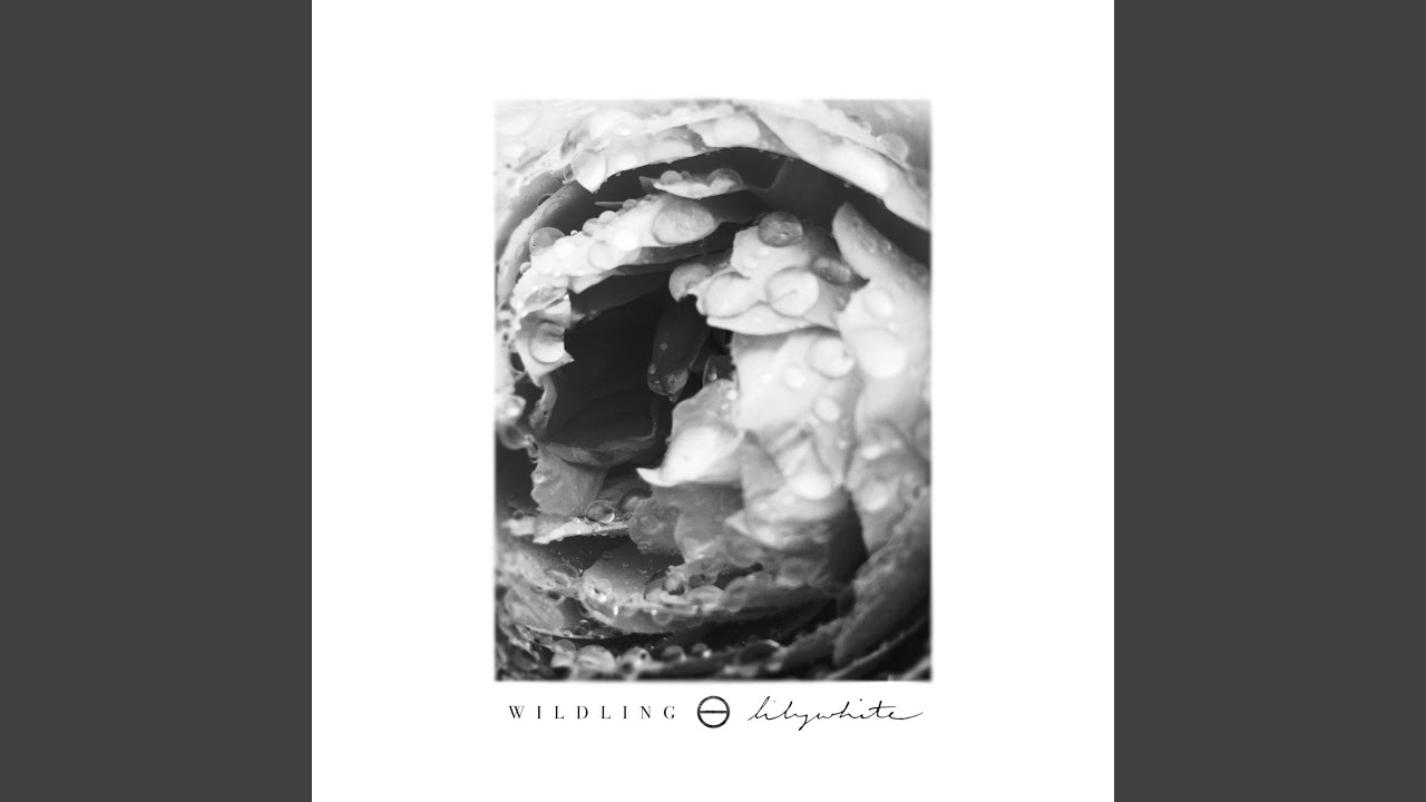 Lilywhite