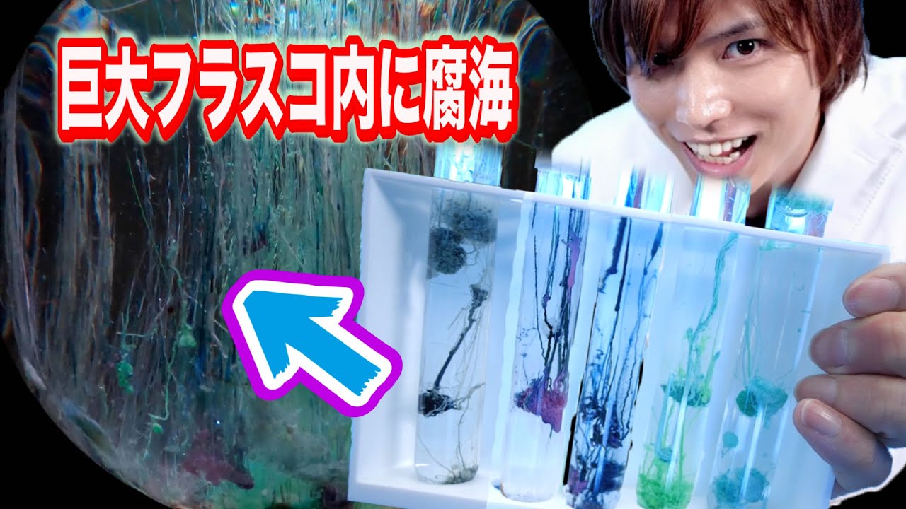 【ナウシカ】科学の力で腐海を再現した結果が美しすぎる・・・【実験】studio ghibli Nausicaä of the Valley of the Wind